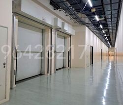 Bendemeer Road (D12), Factory #605481471